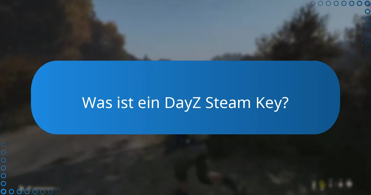 Wie kauft und löst man einen DayZ Steam Key ein?