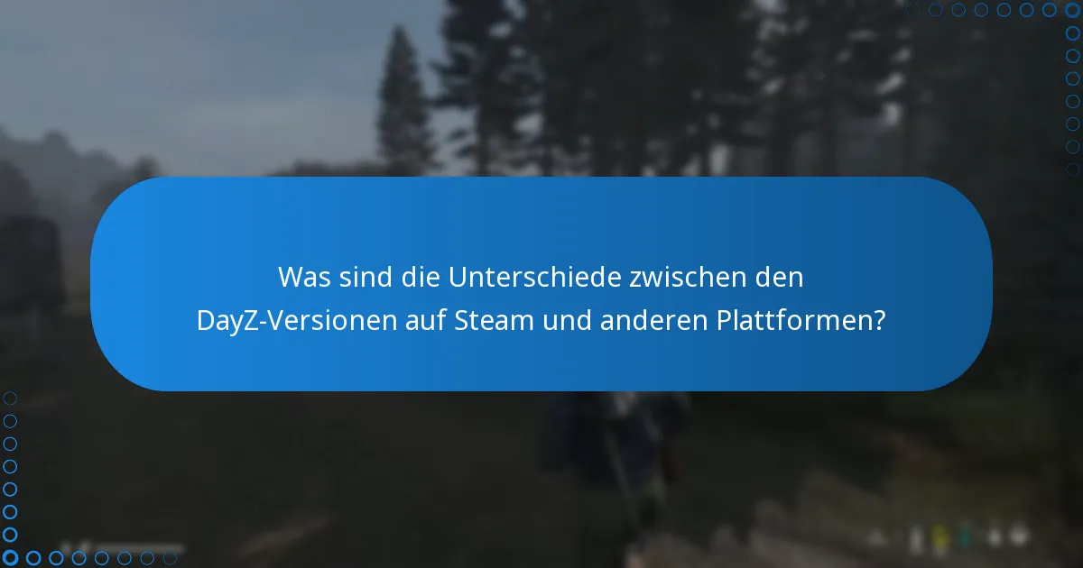 Was sind die Unterschiede zwischen den DayZ-Versionen auf Steam und anderen Plattformen?