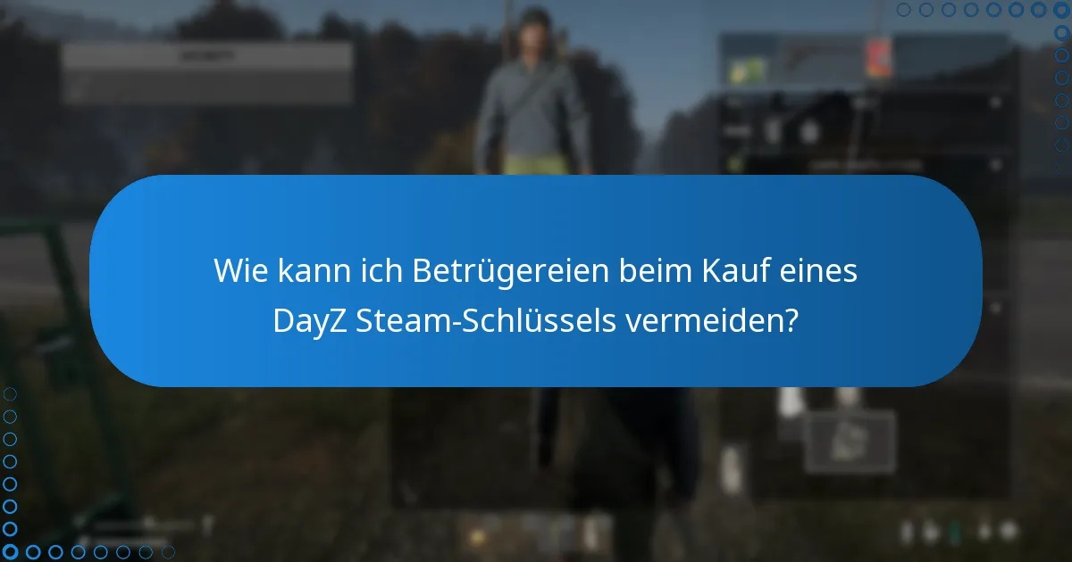 Was sind die Risiken beim Kauf eines DayZ Steam-Schlüssels von nicht autorisierten Verkäufern?